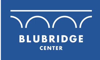 logo-blubridge